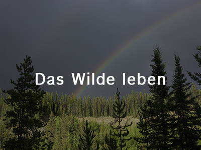 Das Wilde leben
